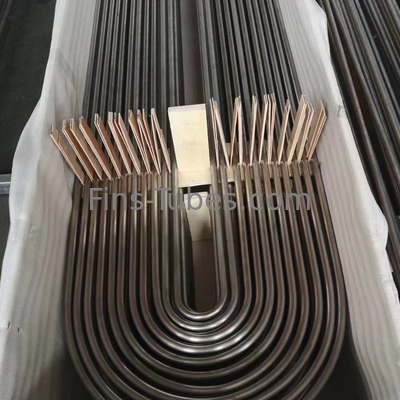 DELLOK SeamlessTreated U Bend Tube Bundle Heat Exchanger A179 টিউবিং